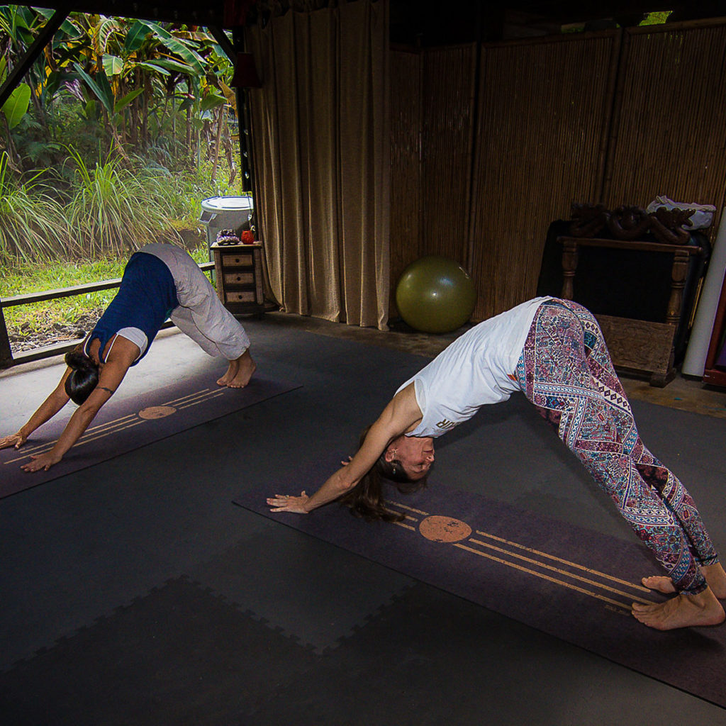 Yoga classes at Honaunau Farm