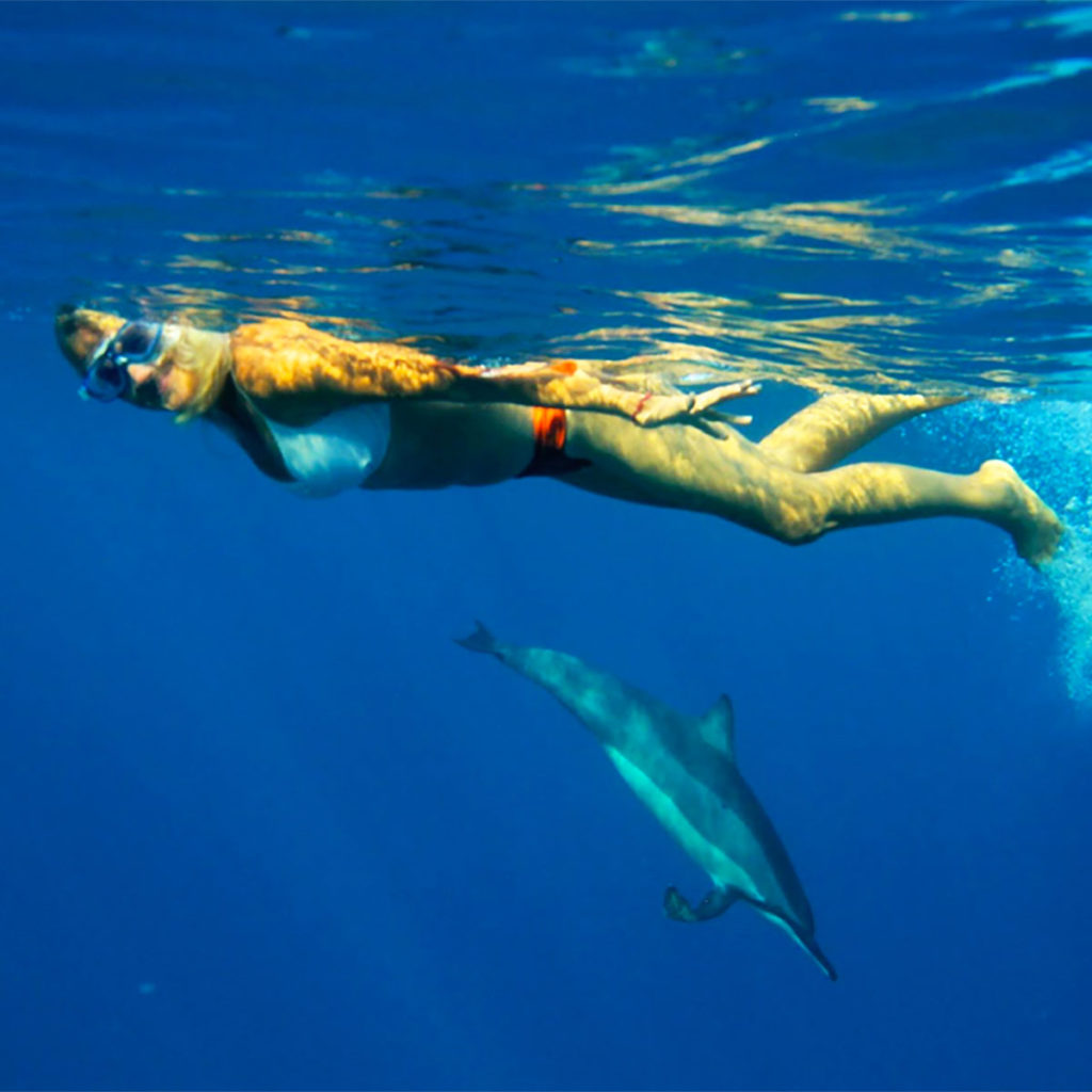 Manta Dives and Snorkel Tours​
