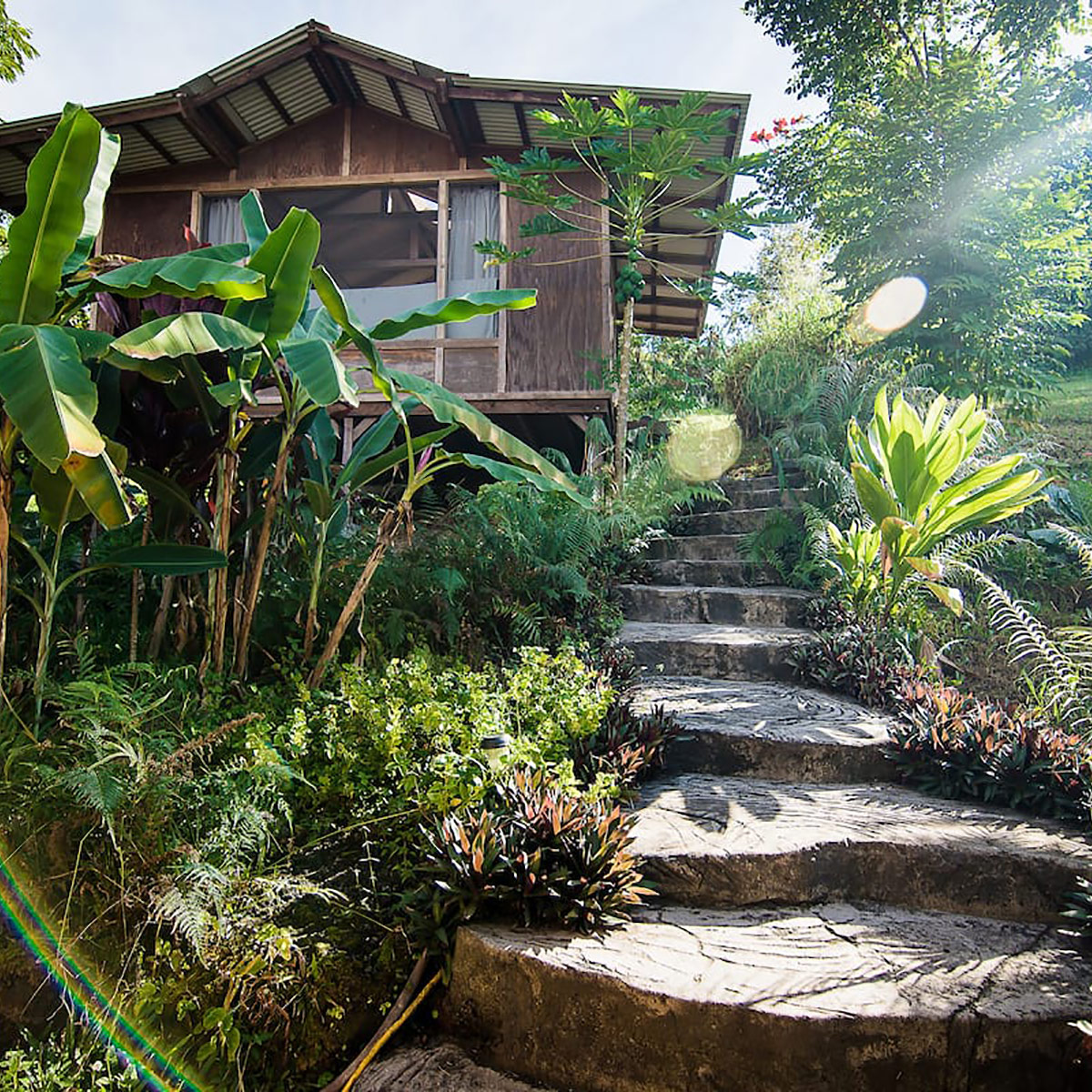 Honaunau Farm Honaunau Farm